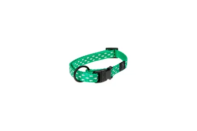 Produktbild von Karlie Art Sportiv Plus Shark - Hundehalsbänder - XS - Nylon - Grün - 20-35x1 cm