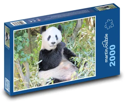 Obrázok produktu pre martinpuzzle – Puzzle 2000 – Panda
