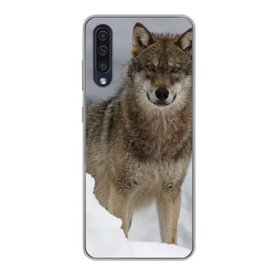 Produktbild von MuchoWow® Handyhülle Schutzhülle Hülle für Samsung Galaxy A30s Wolf - Schnee - Tiere Silikon Softcase Handy Hülle - Karteninhaber