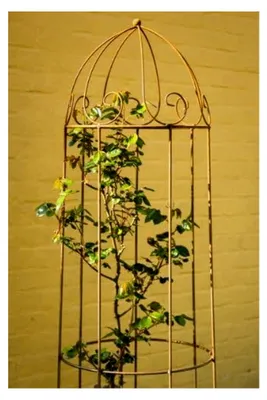 Produktbild von Rankgerüst aus Roheisen/Rost Obelisk für Rosen H: 160cm