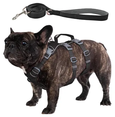 Image de Harnais pour chien avec laisse, anti-fuite, anti-traction, avec poignée, réfléchissant, réglable, noir, taille M
