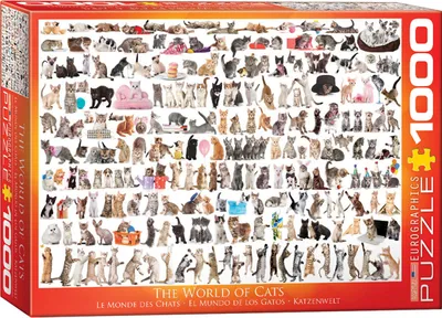 Immagine prodotto di puzzle da 1000 pezzi mondo dei gatti
