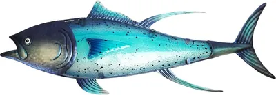 Produktbild von Eurocatch Thunfisch Wanddekoration 80 x 27cm - 3D Metall und Glas - Geschenktipp