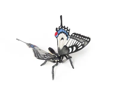 Produktbild von Papo 50278, Garden animals, Mehrfarbig