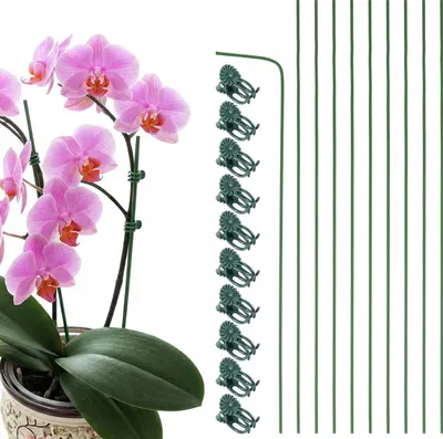 Produktbild von Grüne Pflanzenstäbe 30cm, 10er Set, Flexible Gartenstützen