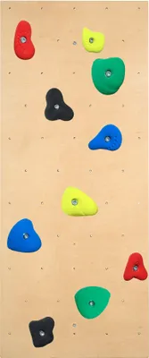 Produktbild von Sport-Thieme Kletterwand für Sprossenwand inkl. Klettergriff-Set "Kinder"