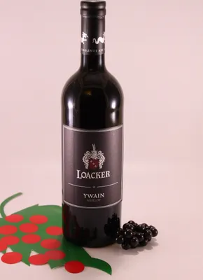 Produktbild von Merlot Ywain - 2022 - Weingut Loacker