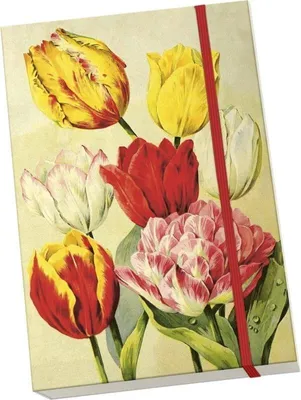 Immagine prodotto di Notýsek Fiori di primavera gialli Tulipani