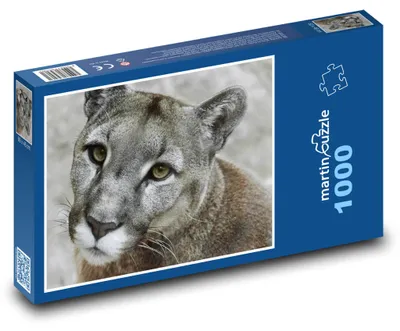 Obrázek produktu pro Puzzle 1000 Puma v divočině - martinpuzzle