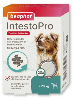Produktbild von BEAPHAR IntestoPro Tabs für große Hunde, 20 Stück, unterstützt Darmfunktion