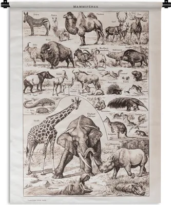 Produktbild von MuchoWow® Wandteppich Wandbehang Tiere - Elefant - Schwarz - Weiß 120x160 cm Tapisserie Dekoration Wandtuch - Wohnzimmer - Moderne