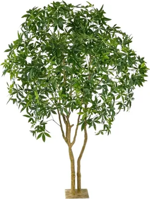 Immagine prodotto di Emerald Artificial Lucky Chestnut - Mitsu | 285 cm, per interni, albero artificiale, proprio come quello vero, adatto a chi soffre di allergie, decorazione vegetale per studio, ufficio e soggiorno