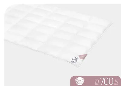 Produktbild von Schlafstil Bettdecke Daunendecke D 700 Normal 200 x 200 cm