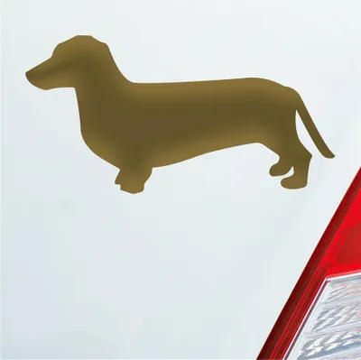 Produktbild von Auto Aufkleber Dackel Dog Hund Tiefergelegt 10x5 cm Gold Sticker Heckscheibenaufkleber