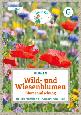 Produktbild von Grüne Fee - Wild- und Wiesenblumen Blumenmischung ohne Gräser Samen - 13250