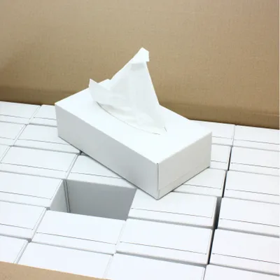 Produktbild von Kosmetiktücher Kosmetiktuch Kosmetiktücherbox 30 Kosmetiktücher Box Taschentuchbox Taschentücher box 100% Zellstoff, 2-lagig Kosmetiktuch