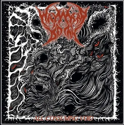 Produktbild von All Consuming Void