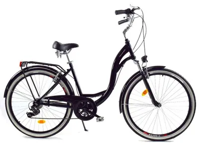 Zdjęcie produktu dla Rower Dallas City Alu 26" 7spd - czarny