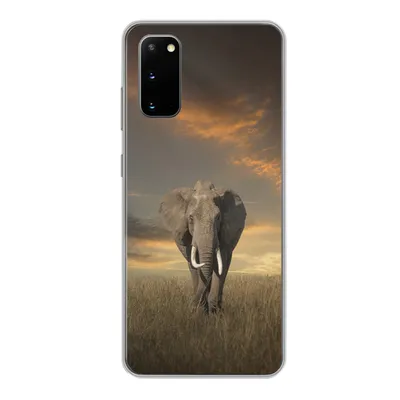 Produktbild von MuchoWow® Handyhülle Schutzhülle Hülle für Samsung Galaxy S20 Elefant - Tiere - Gras - Natur Silikon Softcase Handy Hülle - Bild