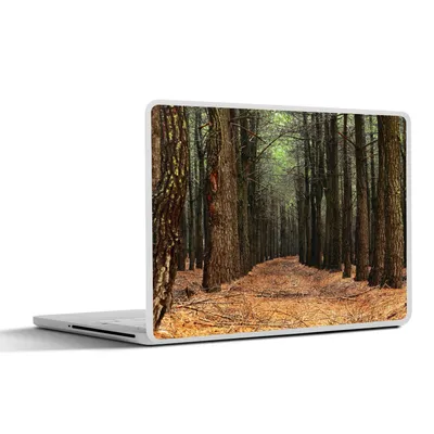 Produktbild von MuchoWow® Laptop Aufkleber Sticker Cover Herbst - Dekoration - Wald 31x22.5 cm - Laptop-Deko