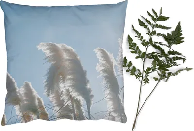Produktbild von MuchoWow® Zierkissen Sofakissen Wohnzimmer Dekokissen 50x50 cm Himmel - Gras - Pampasgras - Komfort - Sofakissen