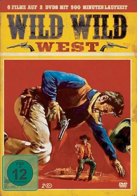 Produktbild von 2 DVDs Wild Wild West