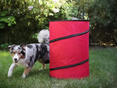 Produktbild von Hoopers Tonne 2er Set für Hundesport, Hundetraining ohne Sprünge, Agility
