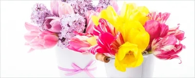 Produktbild von Wallario Poster - Zwei Blumen-Bouquets aus gelben und roten Tulpen und Flieder, Kunstdruck Größe: 50 x 125 cm