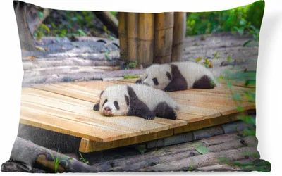 Produktbild von MuchoWow® Outdoor Kissen - Pandas - Boden - Holz - 60x40 cm - Wetterfest - Lounge Kissen - Zierkissen - Kissen für Innenräume