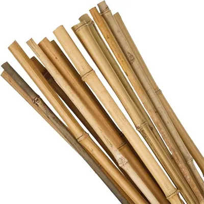 A bundle of bamboo poles arranged diagonally against a white background.