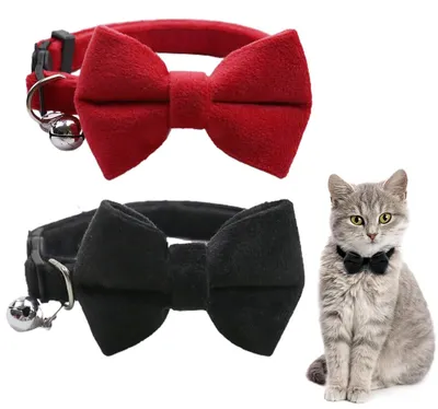 Produktbild von 2 verstellbare Katzenhalsbänder mit Glöckchen und Schmetterlingsfliege