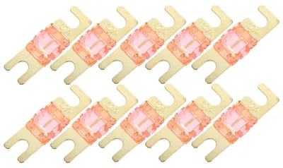 10 Stück 20A AFS Mini ANL Sicherungen für Auto & Boot