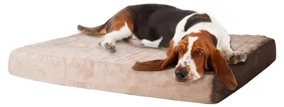 Produktbild von Petmaker Hundebett aus Memory-Schaum mit abnehmbarem Bezug, Größe M, Hellbraun