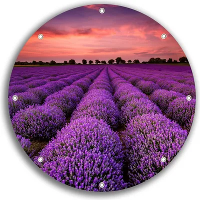 Produktbild von Wallario rundes Outdoor-Poster für Garten oder Balkon, Motiv Lavendelfeld unter rotem Himmel, 30 cm Durchmesser