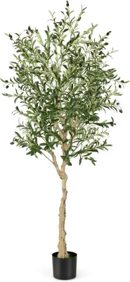 Obrázek produktu pro Umělý olivovník s 1296 listy a 72 plody olivovníky 182 cm