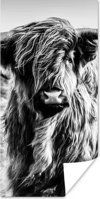 Produktbild von MuchoWow® Poster Schottischer Highlander - Natur - Kuh - Schwarz - Weiß 60x120 cm - Wandschmuck