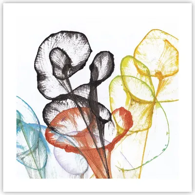 Produktbild von Poster - Poster ohne Rahmen - Blumen Abstraktion Surrealismus - 50x50 cm - Wand Bild - Wanddeko - Wandbilder - Kunstposter - Wandposter - Bilder - Kunstdruck - Wanddekoration - P2XAC50x50-4444