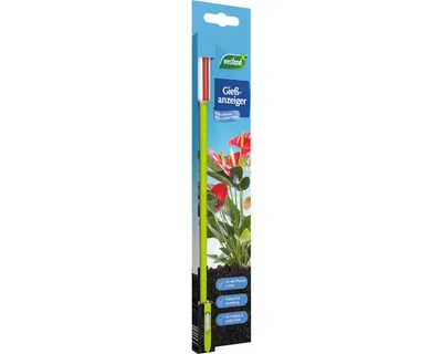 Produktbild von Westland Gießanzeiger groß 26 cm grün