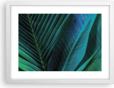Produktbild von Gerahmtes Poster - Weißer Rahmen - Blatt Tropen Grün - 40x30 cm - Wand Bild - Wanddeko - Wandbilder - Kunstposter - Wandposter - Bilderrahmen - Bilder - Kunstdruck - Wanddekoration - P2WAA40x30-5071