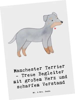 Produktbild von Mr. & Mrs. Panda Postkarte Manchester Terrier Begleiter - Weiß - Geschenk, Ansichtskarten, Hunderassen Pflege, Vielfalt, treuer, Postkarten, Hausbegleiter, Hunderasse