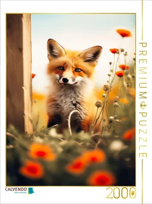 Produktbild von CALVENDO Puzzle Rotfuchs im Sommer | 2000 Teile Lege-Größe 90x67cm Foto-Puzzle für glückliche Stunden