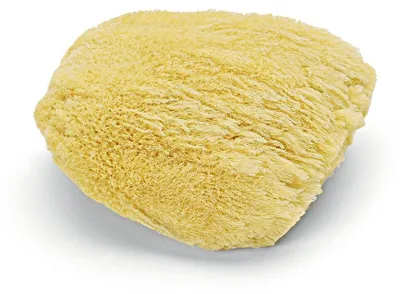 Produktbild von Nölle Profi Brush Naturschwamm, ca. 17 cm - Hochwertiger Reinigungsschwamm | 1 Stück