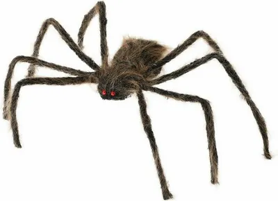 Immagine prodotto di Decorazione di Halloween a forma di ragno