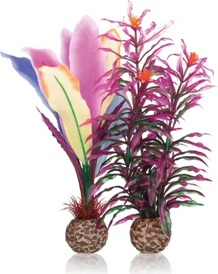 Produktbild von biOrb Papageienfeder M (55079)