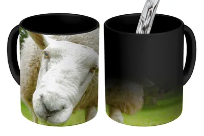 Obrázok produktu pre MuchoWow® Magický pohár Ovce - tráva - strom 350 ml Pohár na zmenu farby Darček Nápad na darček - Foto hrnček