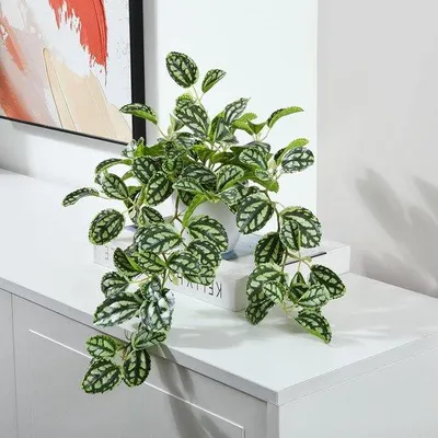 Produktbild von Famanu Kunstpflanze 38 cm - Moderne Dekoration für Wohnräume, Balkon und Badezimmer