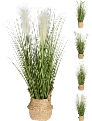 Zdjęcie produktu dla Sztuczna Roślina W Koszyku 317221060
