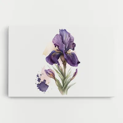 Produktbild von ARTHUB® Leinwandbild 50x70 cm, Beautiful Purple Iris | Wohnzimmerdekoration, Hängende Bilder, Wanddekoration, Heimdekoration, Blumen, Iris