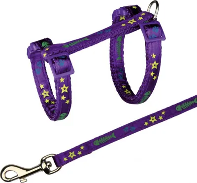 Image de Geschirr mit Leine 23–39 cm/10 mm diverse