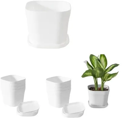 Image de Petit pot à fleurs blanc 10 cm, à arrosage automatique, pour l'intérieur et l'extérieur